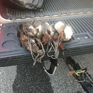 Meet your Posher, Everett